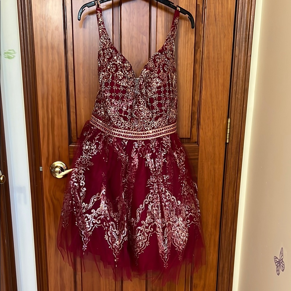 Elegant Burgundy Dress